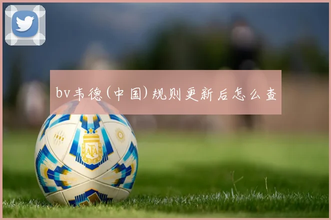 bv韦德(中国)规则更新后怎么查